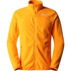 The North FaceHerren 100 Glacier Jacke